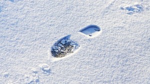 vinter