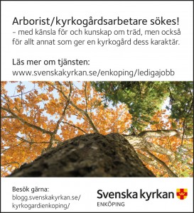 Arborist.indd