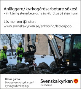 Sve ky Enk Stenmur.indd