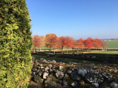 Träd med röda höstlöv på en solig kyrkogård och i förgrunden en gammal stenmur.