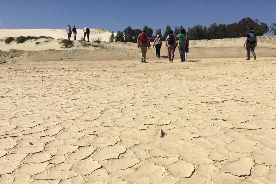 Ett pekfinger åt gruvbolagen i Sydafrika