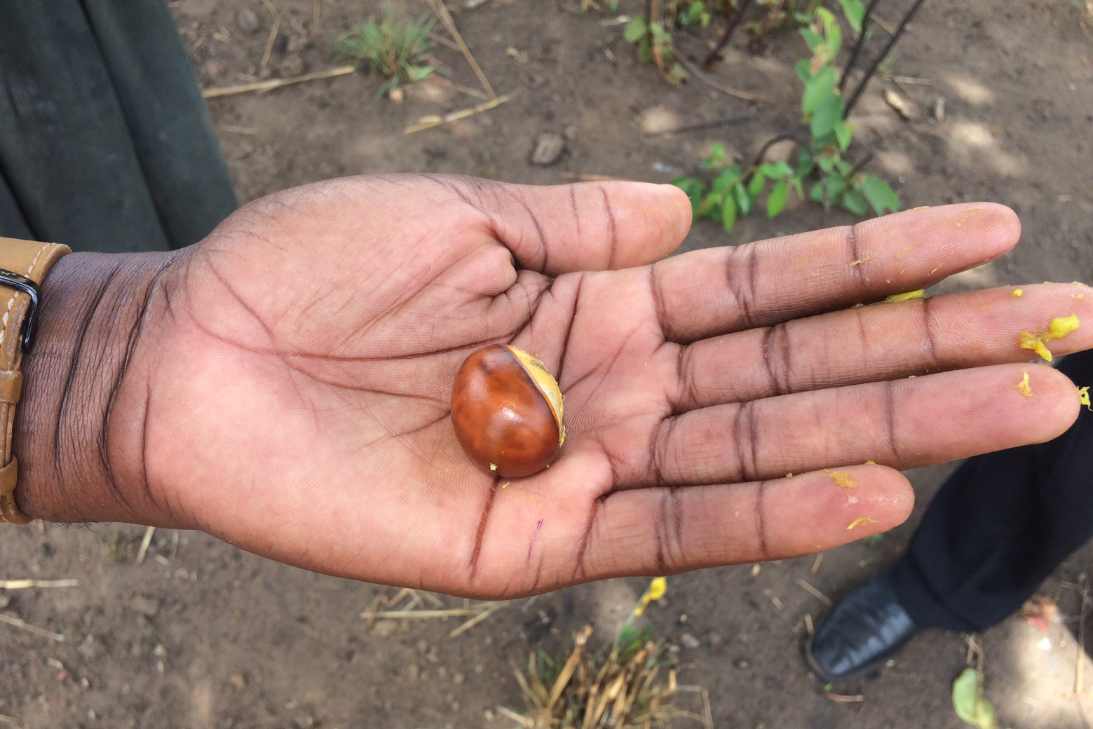 Kvinnor kan hantera både fördomar och nötter