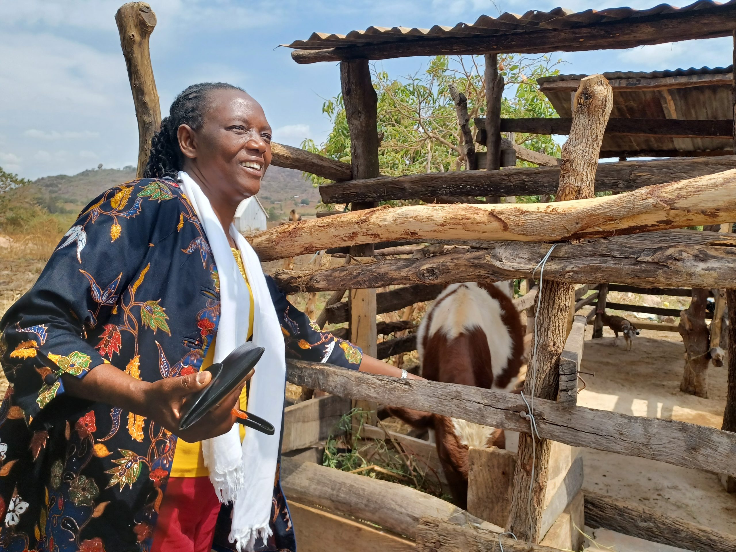 Kor, avokados och utbildning i Tanzania