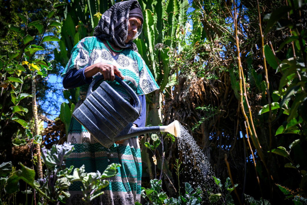 Kvinna vattnar med en vattenkanna i en trädgård.