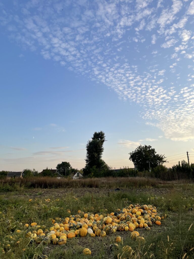 Septemberhimmel över ett fält i Ukraina. 