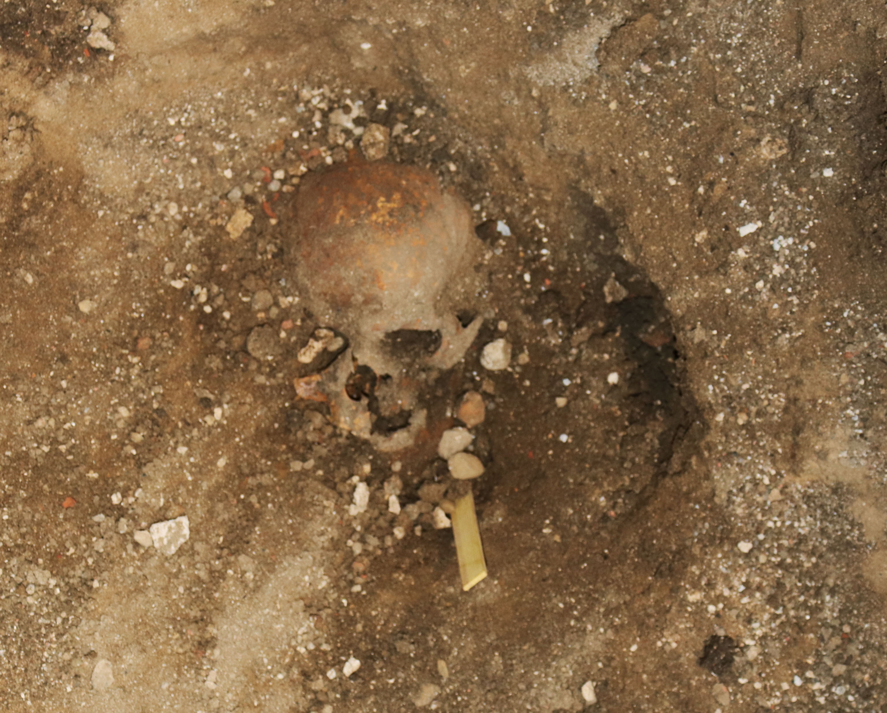 Spännande fynd dokumenteras