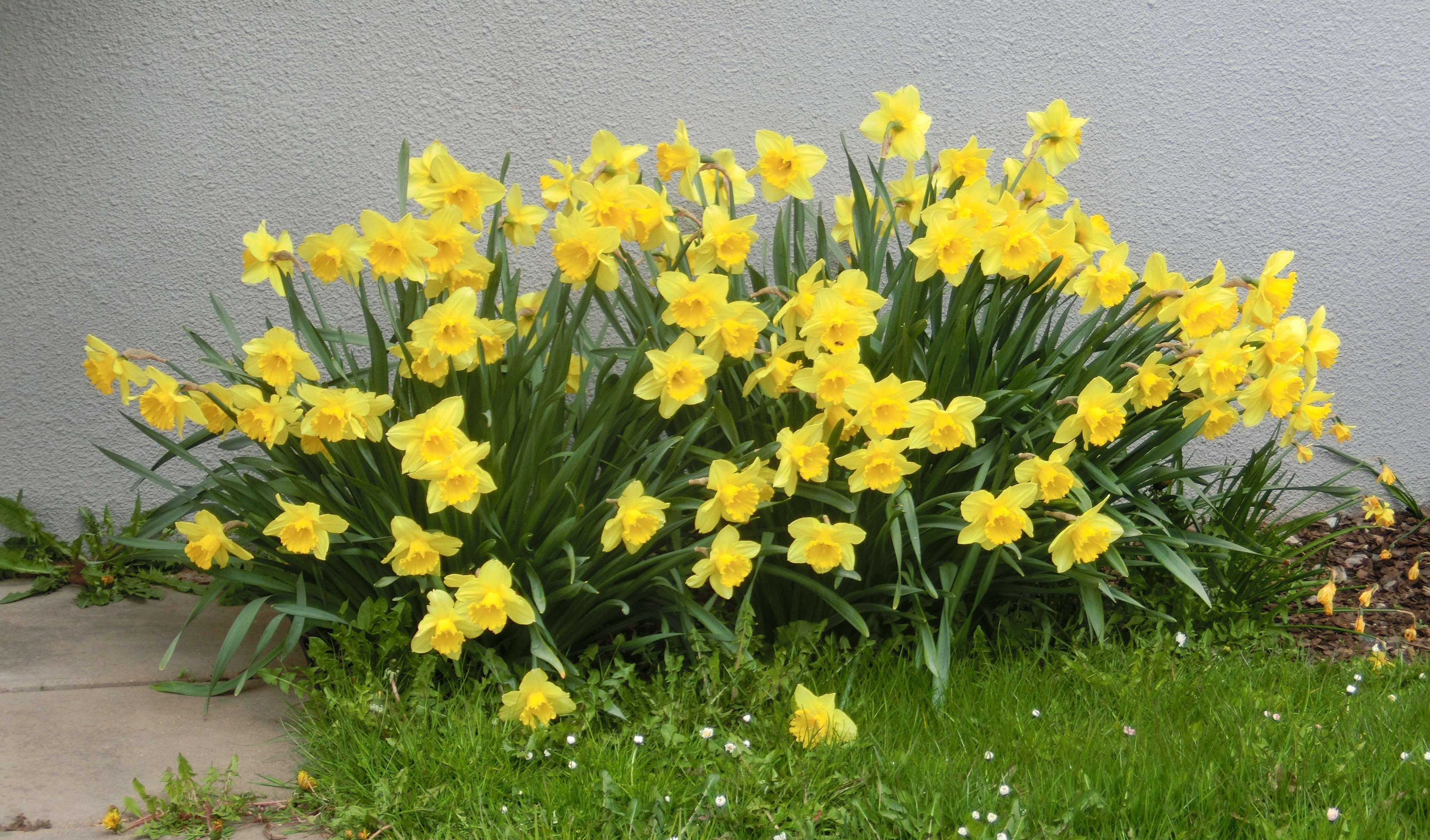 Kristus är uppstånden – därför vågar vi möta varandra!