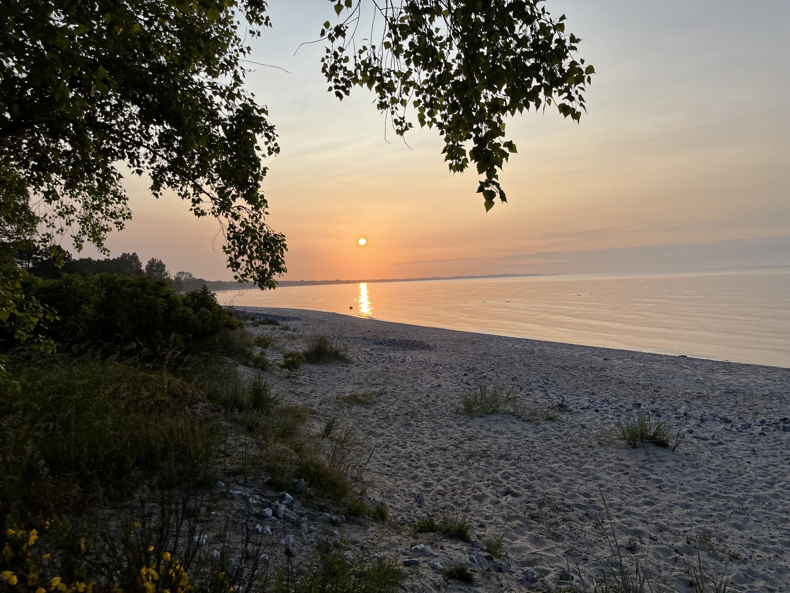 Upp som en sol och ner som en pannkaka
