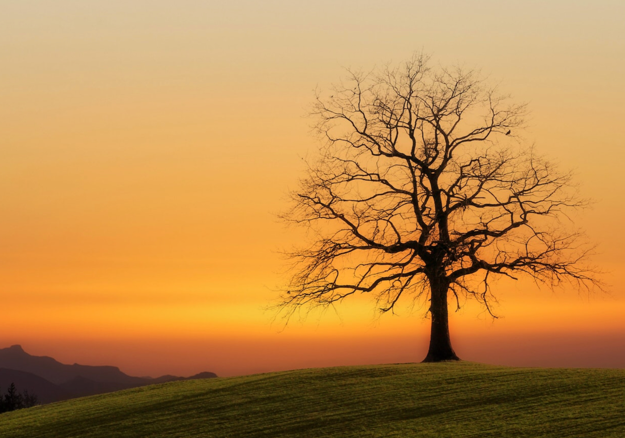 Hon står där i skymningen och lyfter sina armar mot skyn