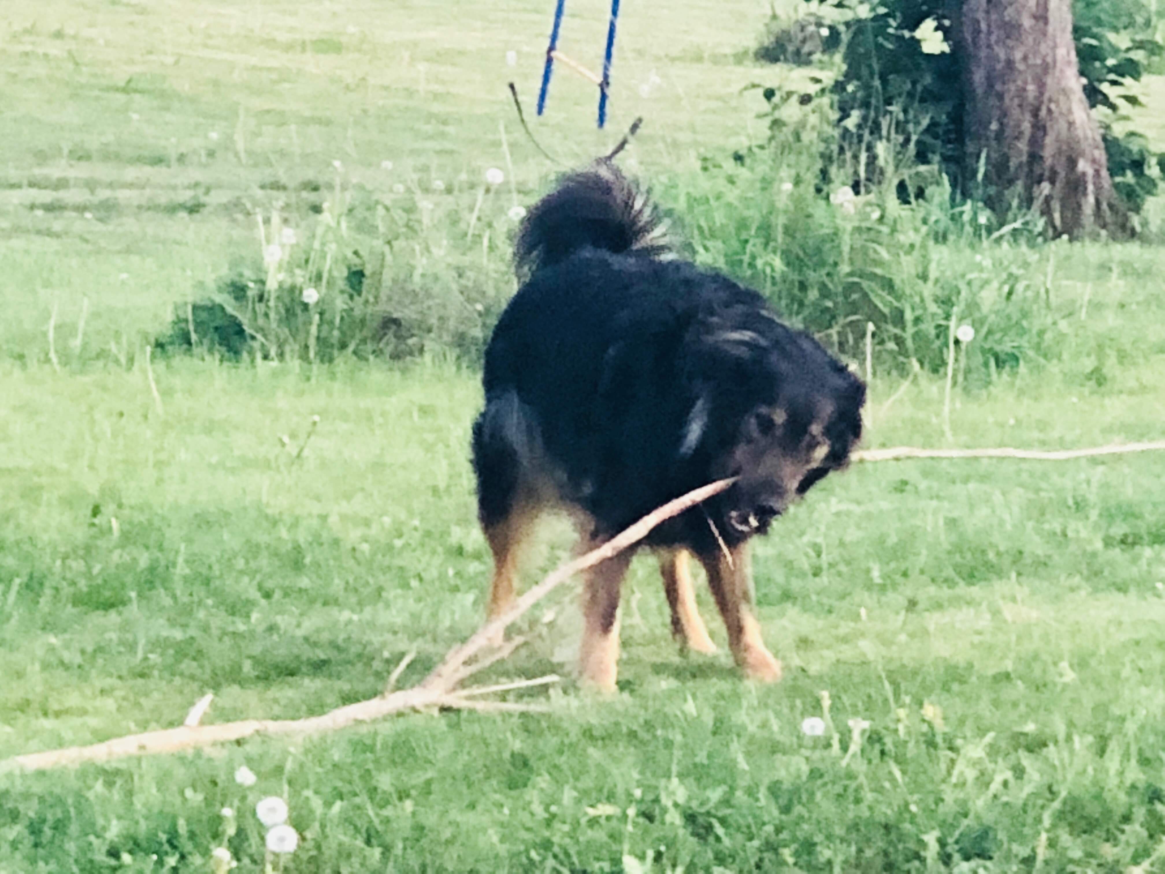 Den måste bli till flis