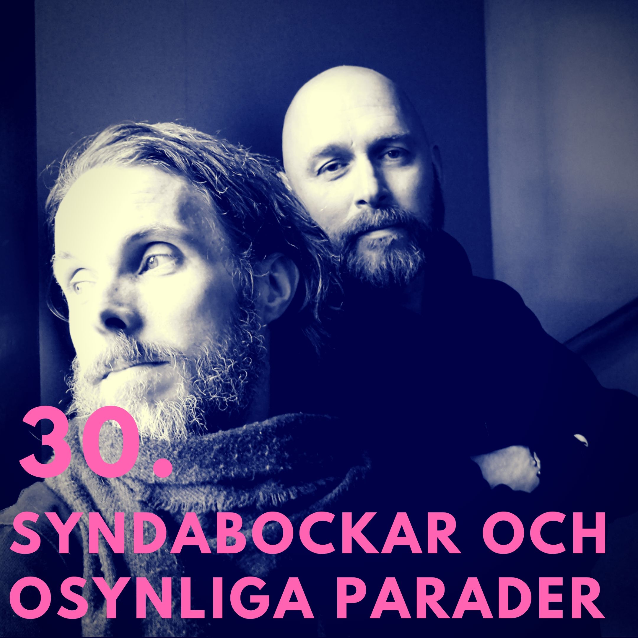 30. Syndabockar och osynliga parader
