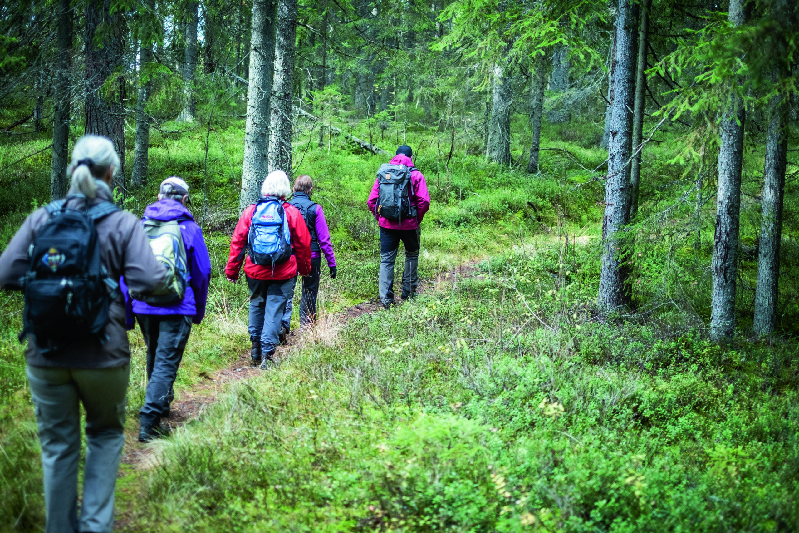 Ett naturligt samband