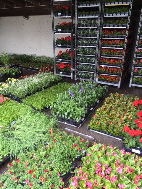 Ut med det gamla och in med det nya