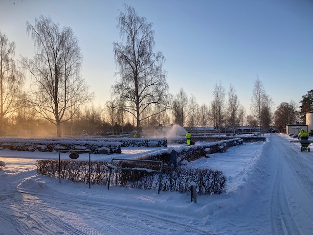 Vinteräsongen är i antågande