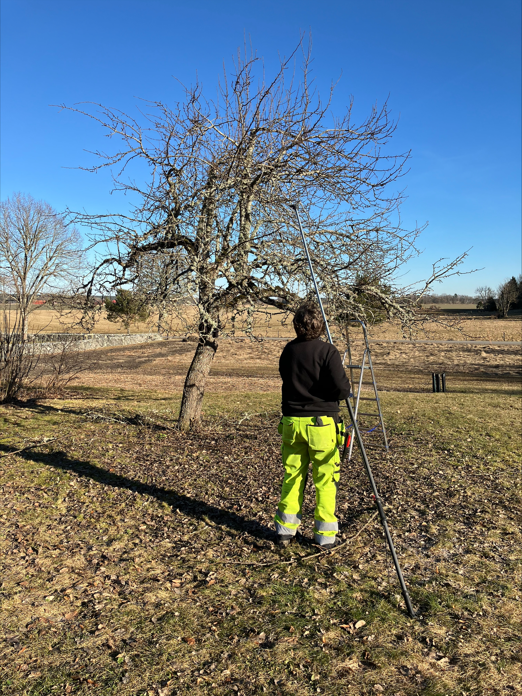 Nyhetsbrev från kyrkogård april