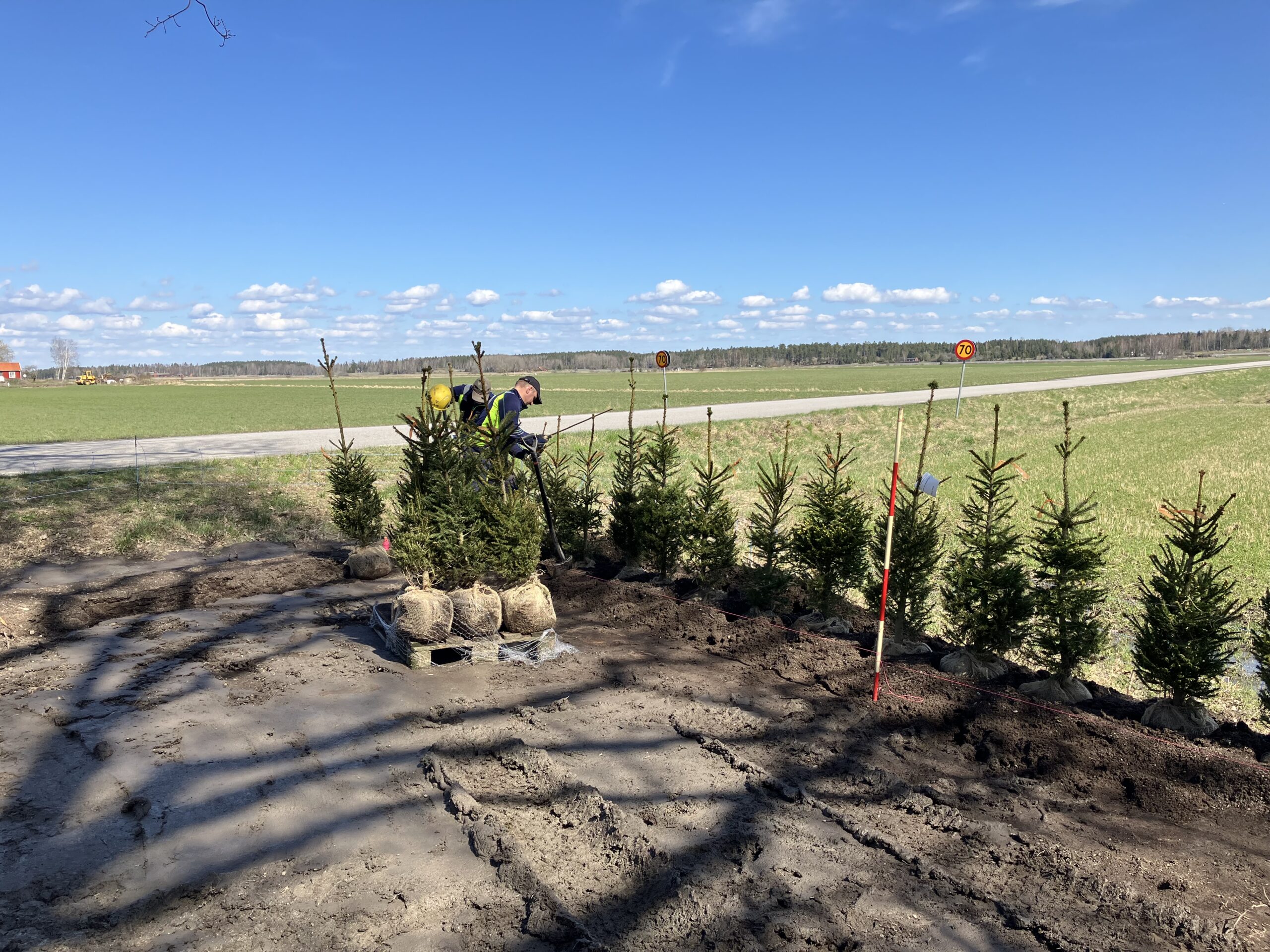 Nyhetsbrev från kyrkogård juni