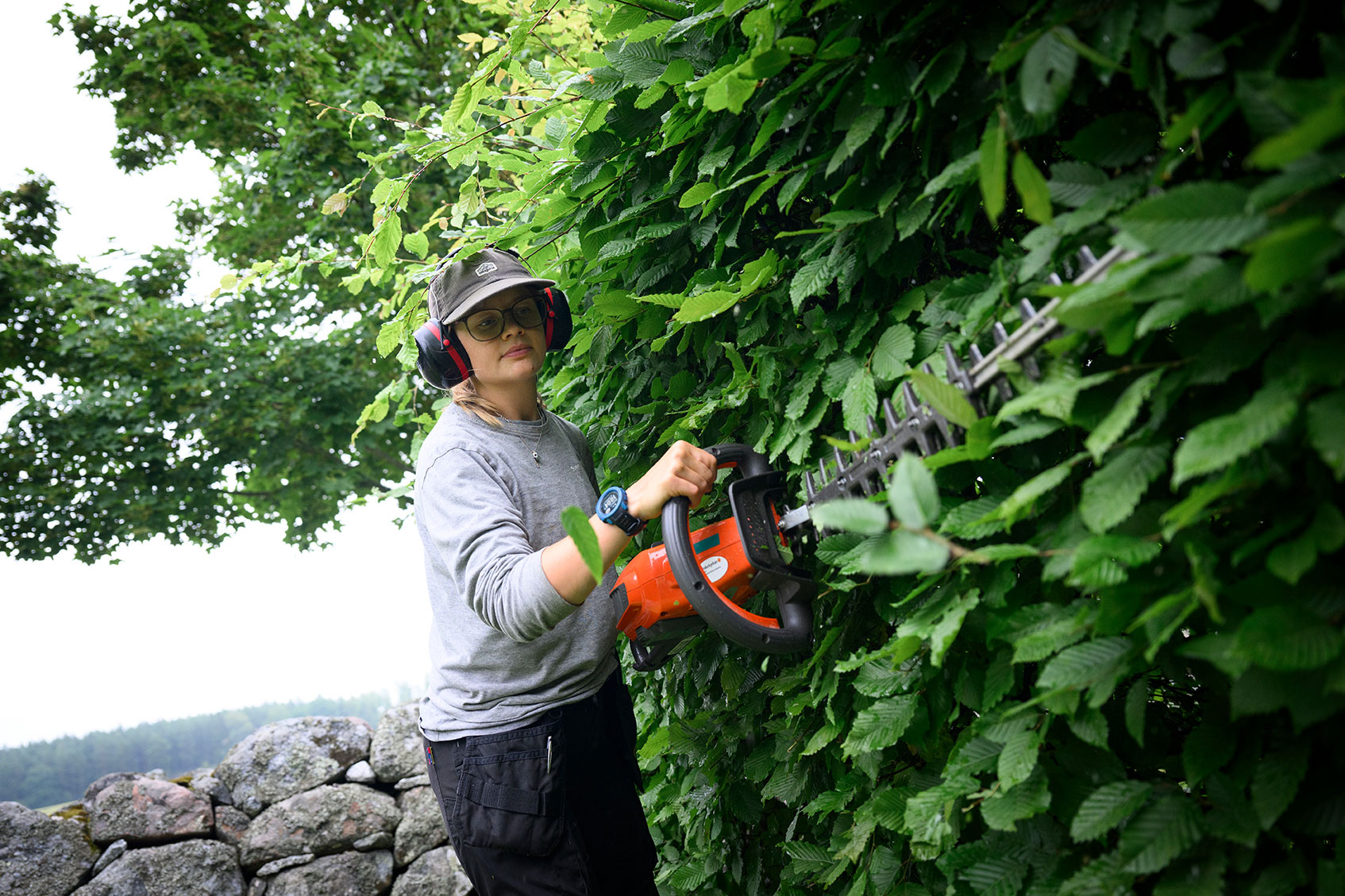 Nyhetsbrev från kyrkogård september