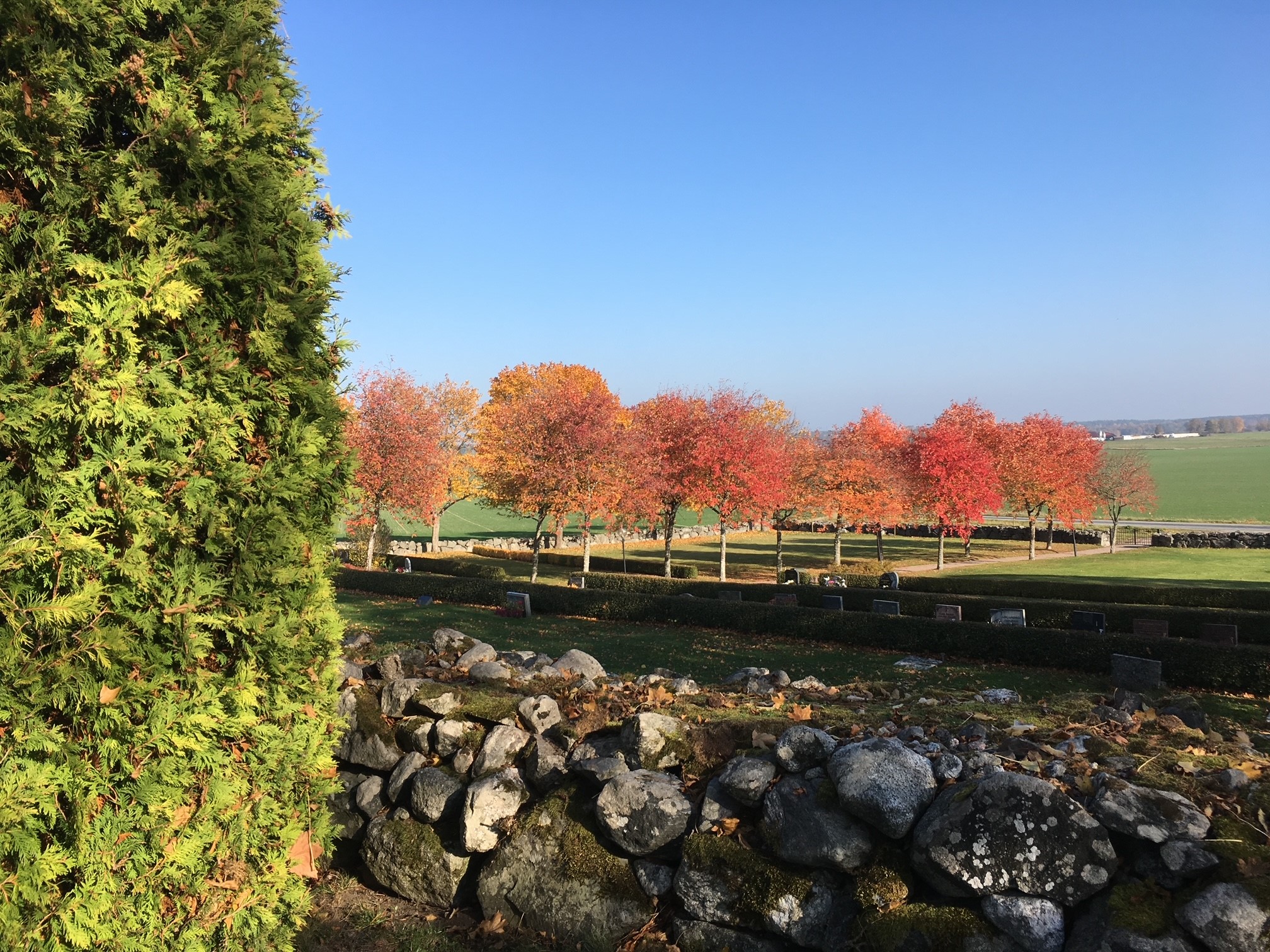 Nyhetsbrev från kyrkogård oktober 2025