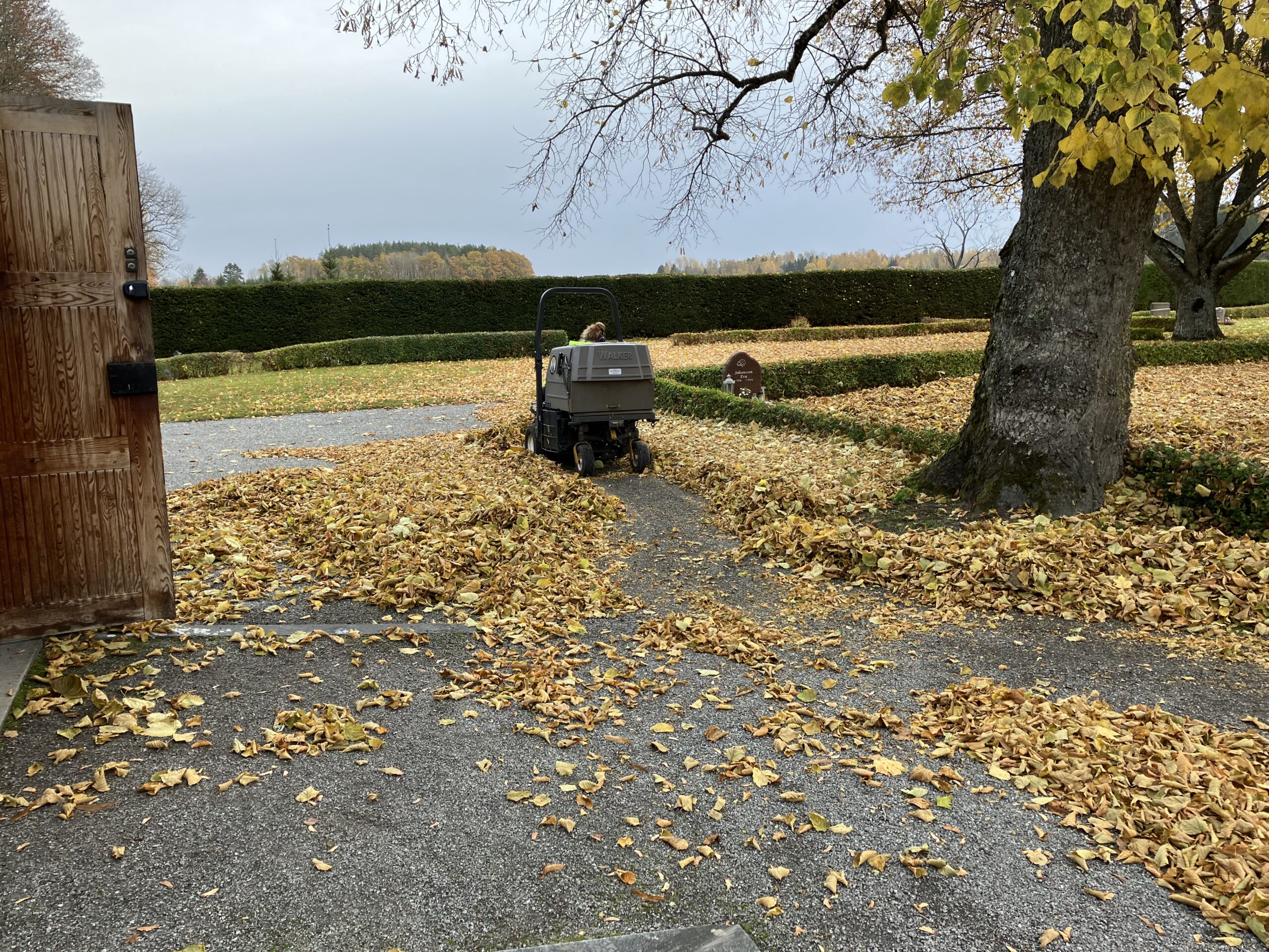 Nyhetsbrev från kyrkogård december 2024