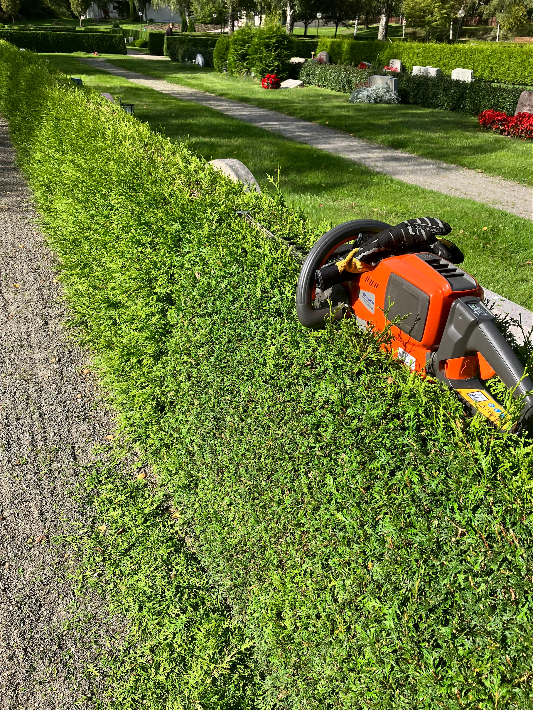 Nyhetsbrev från kyrkogård september 2025