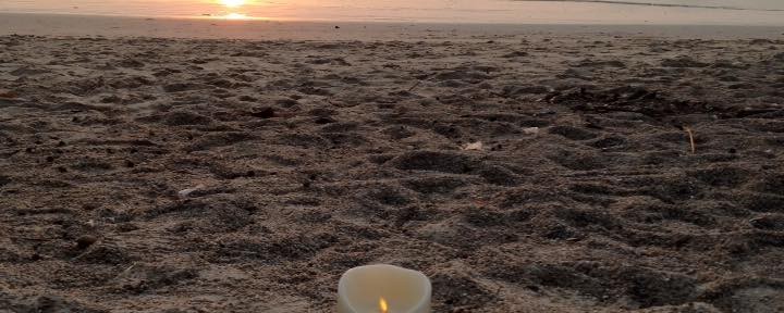 Sista (?) blogginlägget!