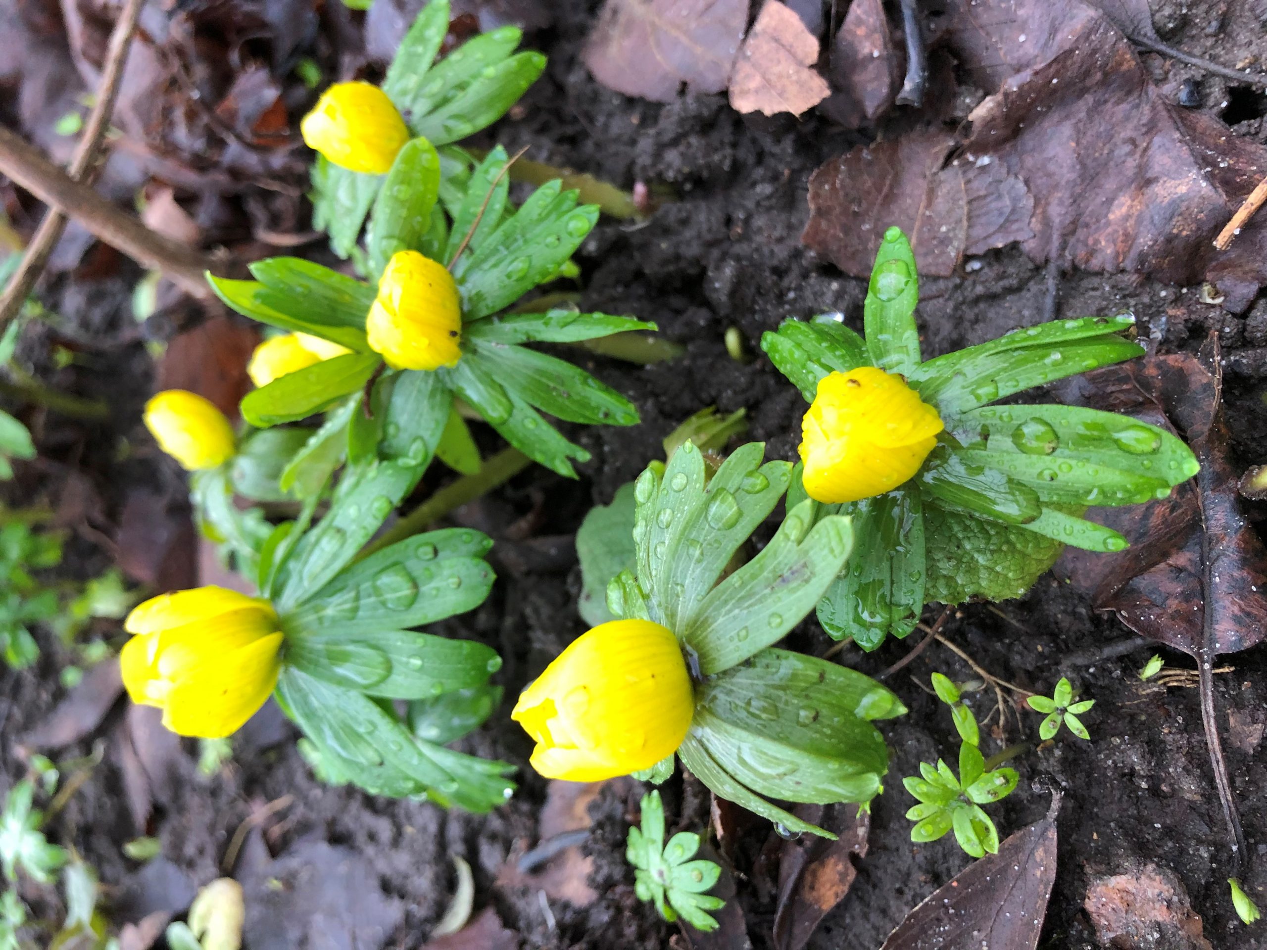 Vi sitter i samma båt…. eller?