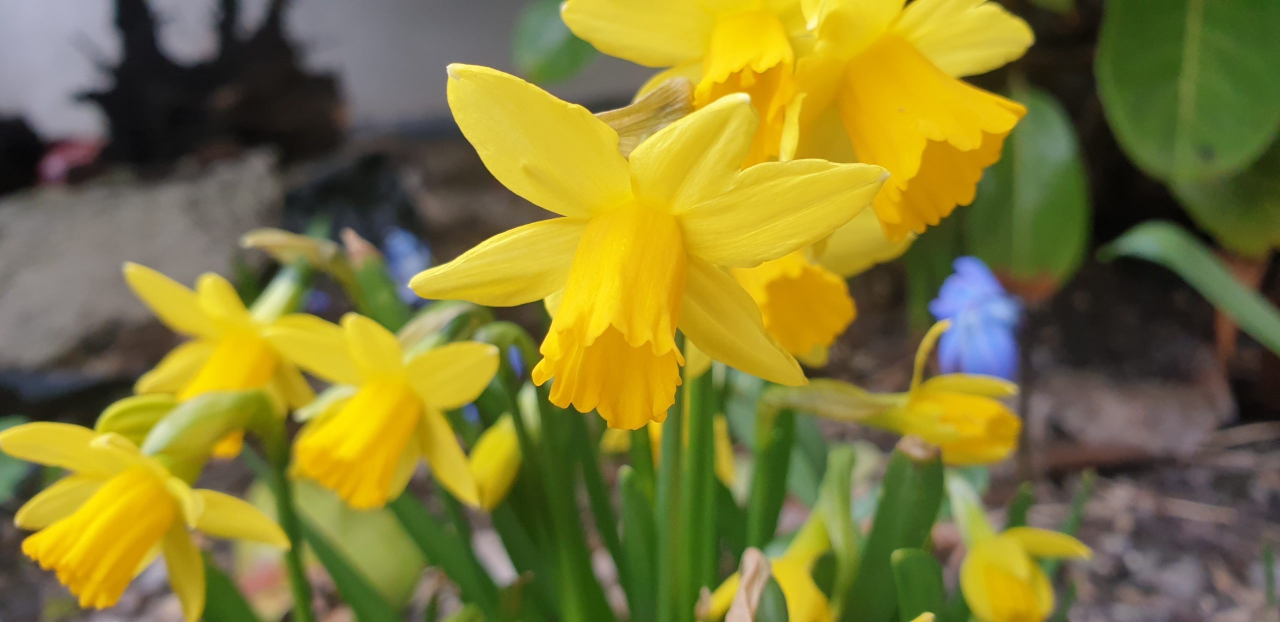 Från långfredag till påskdag