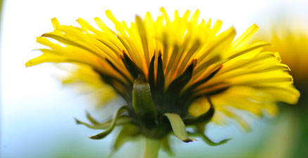 Tappa inte fokus på det viktiga – 17 april