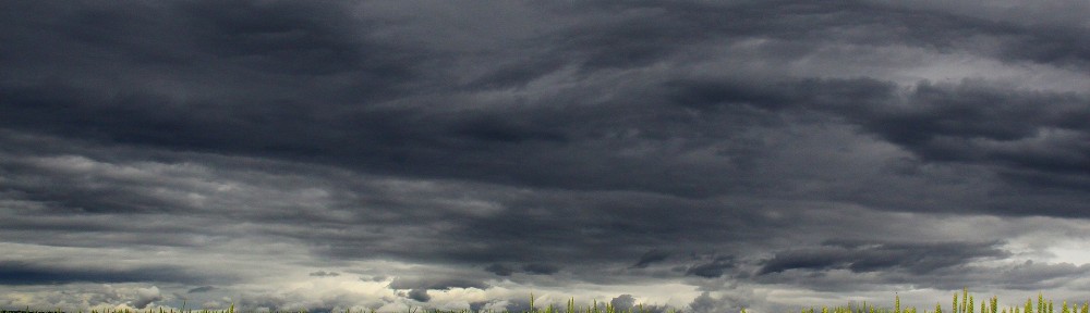 Om du hade varit här