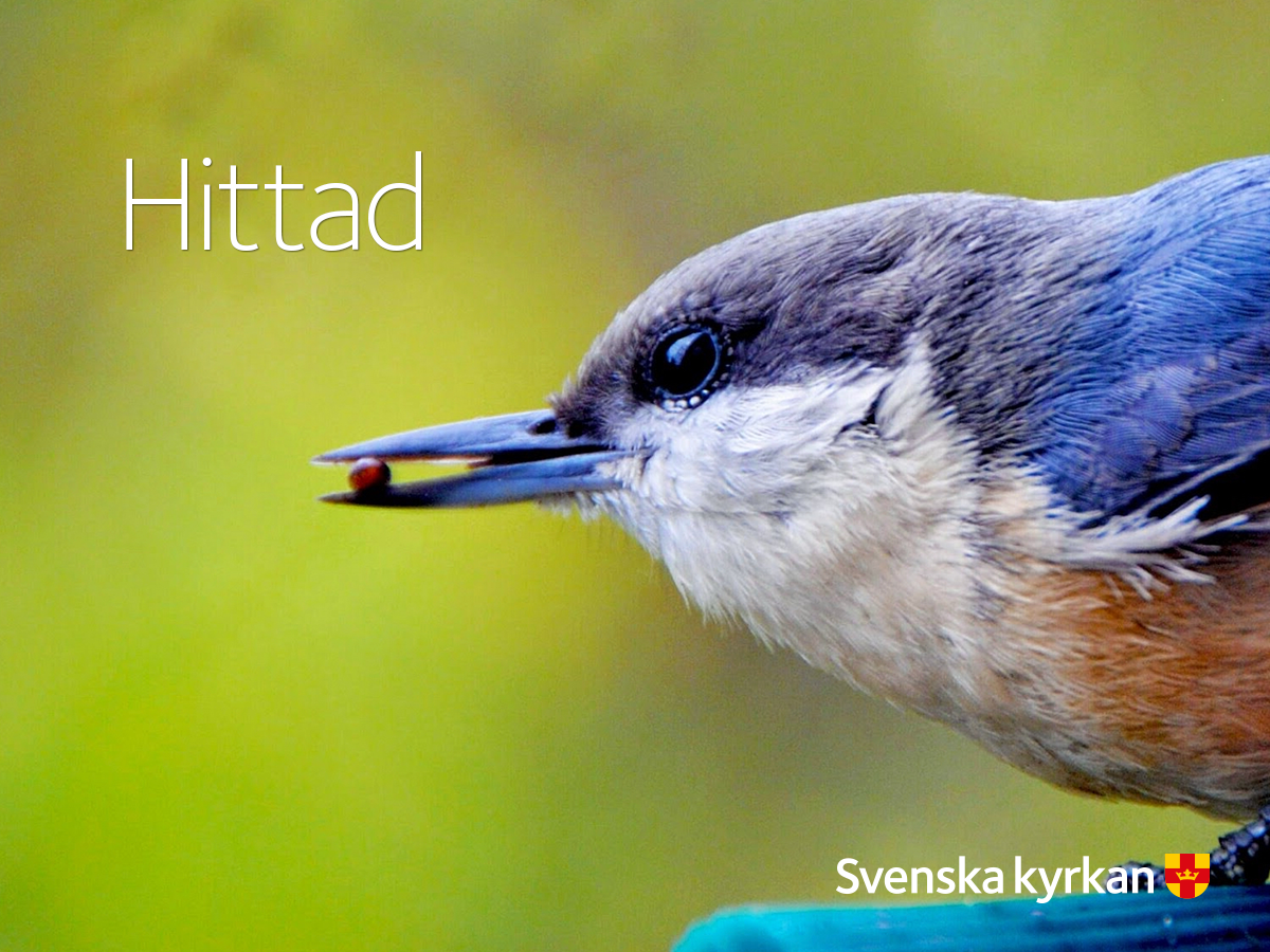 Det är då Gud bär oss