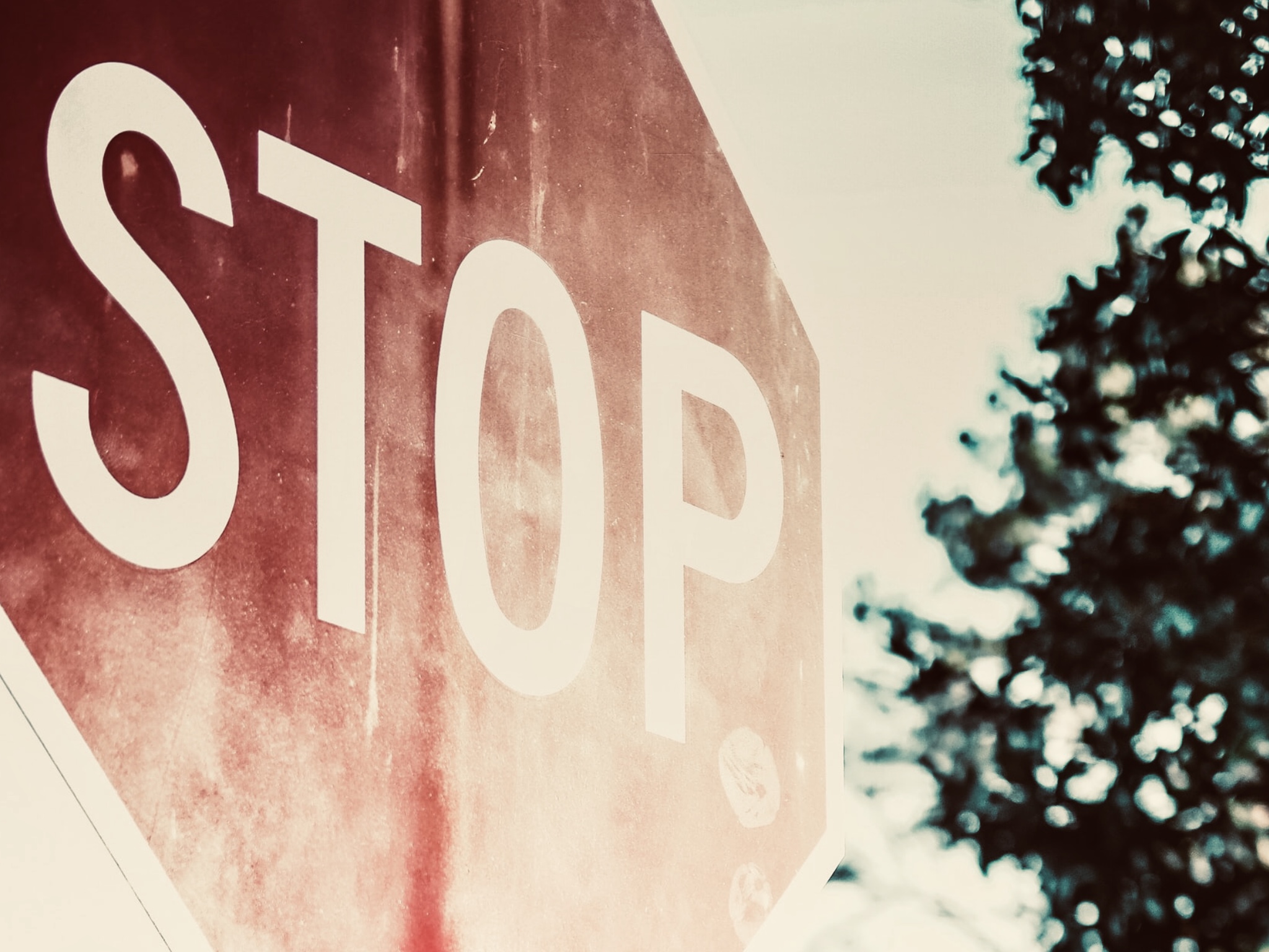 Anledningen till att jag älskar regler