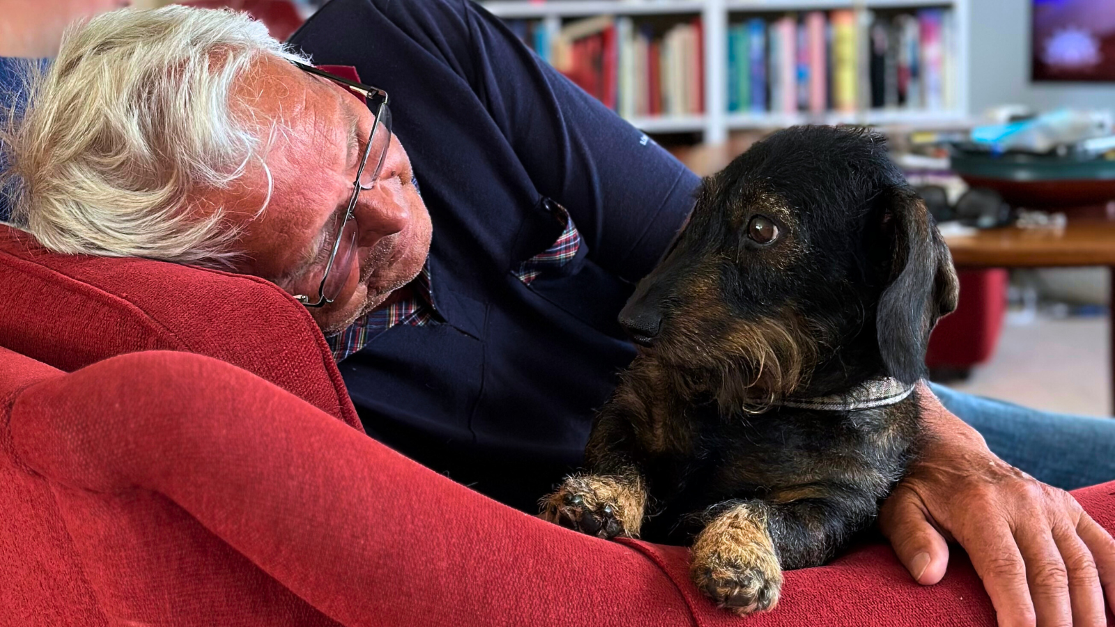 En äldre man och en hund sitter i en fåtölj tillsammans och har ögonkontakt med varandra