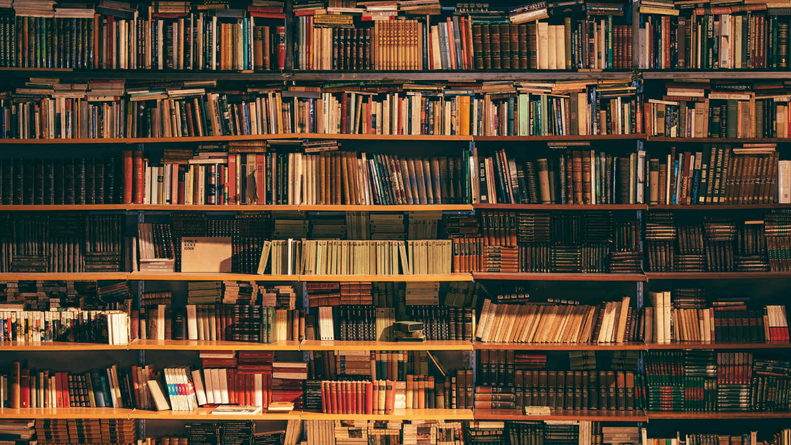 Kanske handlar alla böckerna om dig