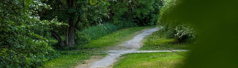 En stilla vecka – med mod att släppa oron