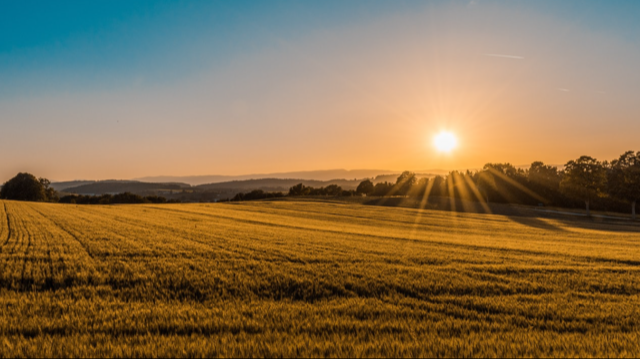 Kärleken i lyssnandet