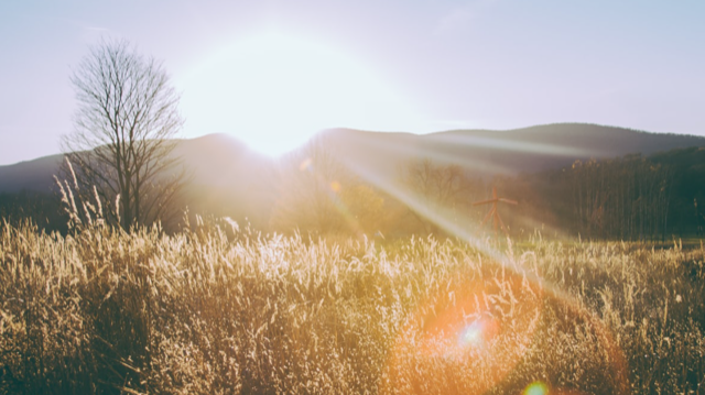 Ljuset får fäste i våra innersta