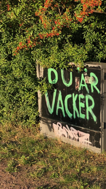 Lev ut ditt vackra