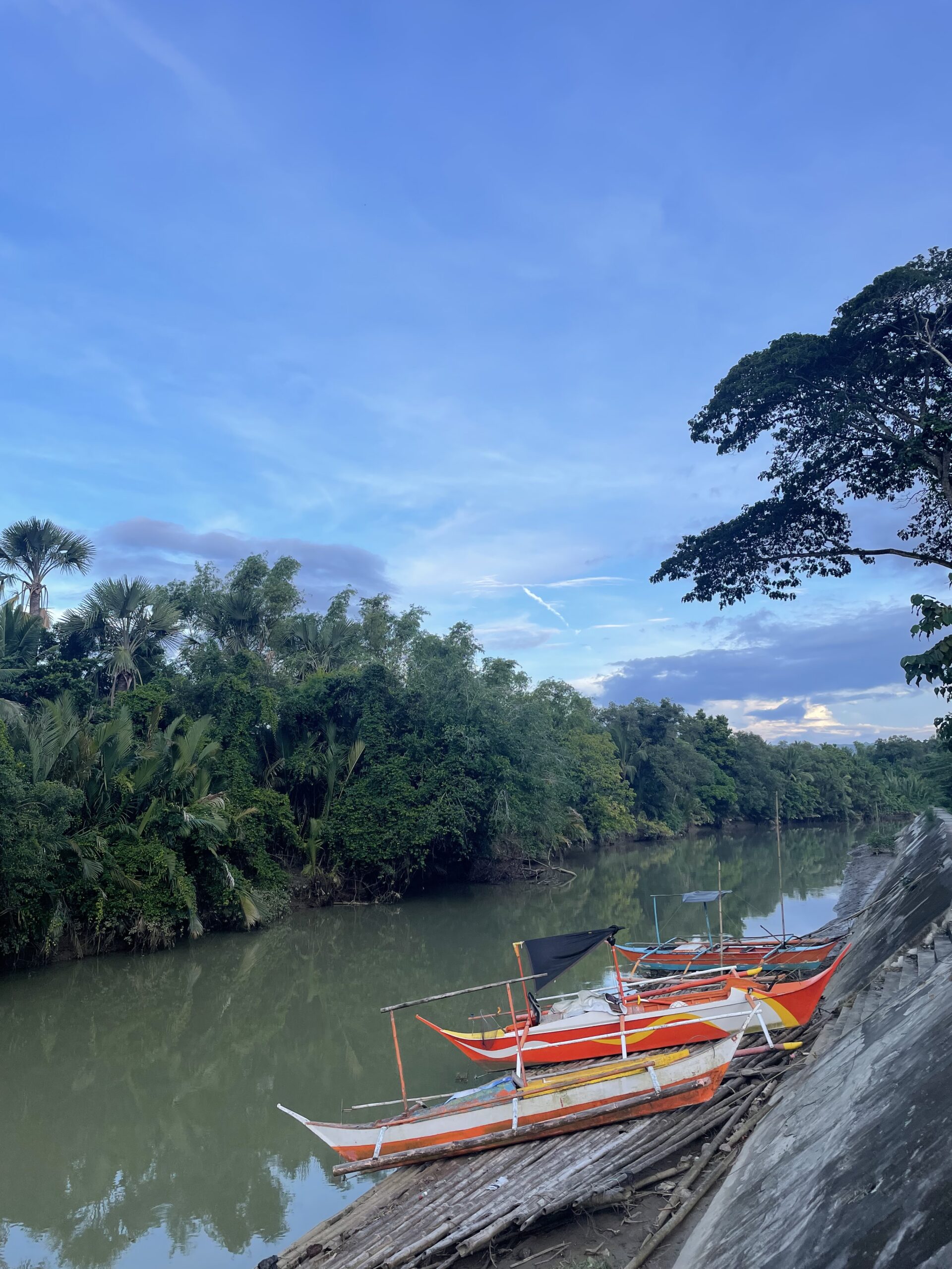 Reflektioner från en paradisö.