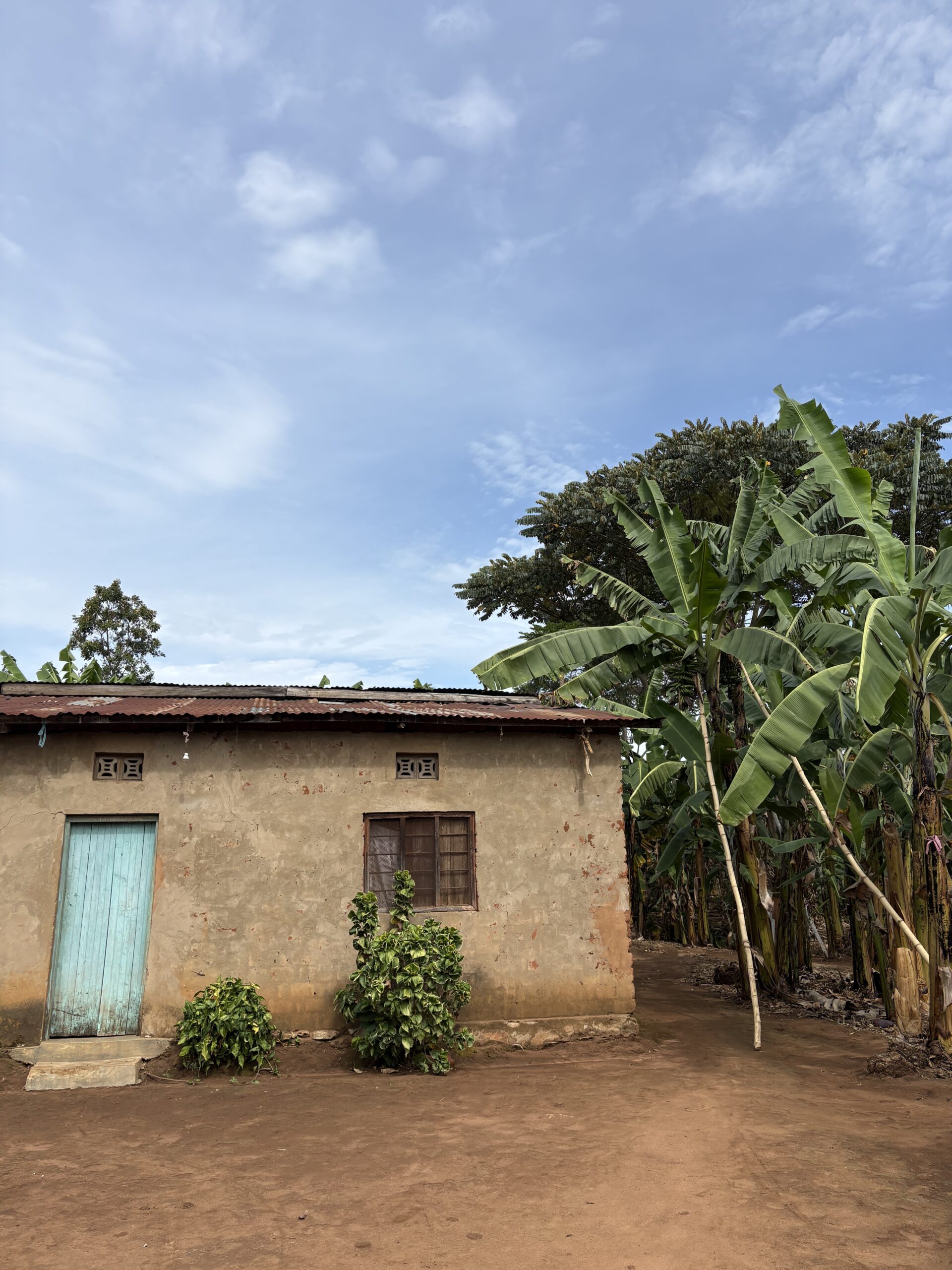 Från hus till hus – och hem till hem