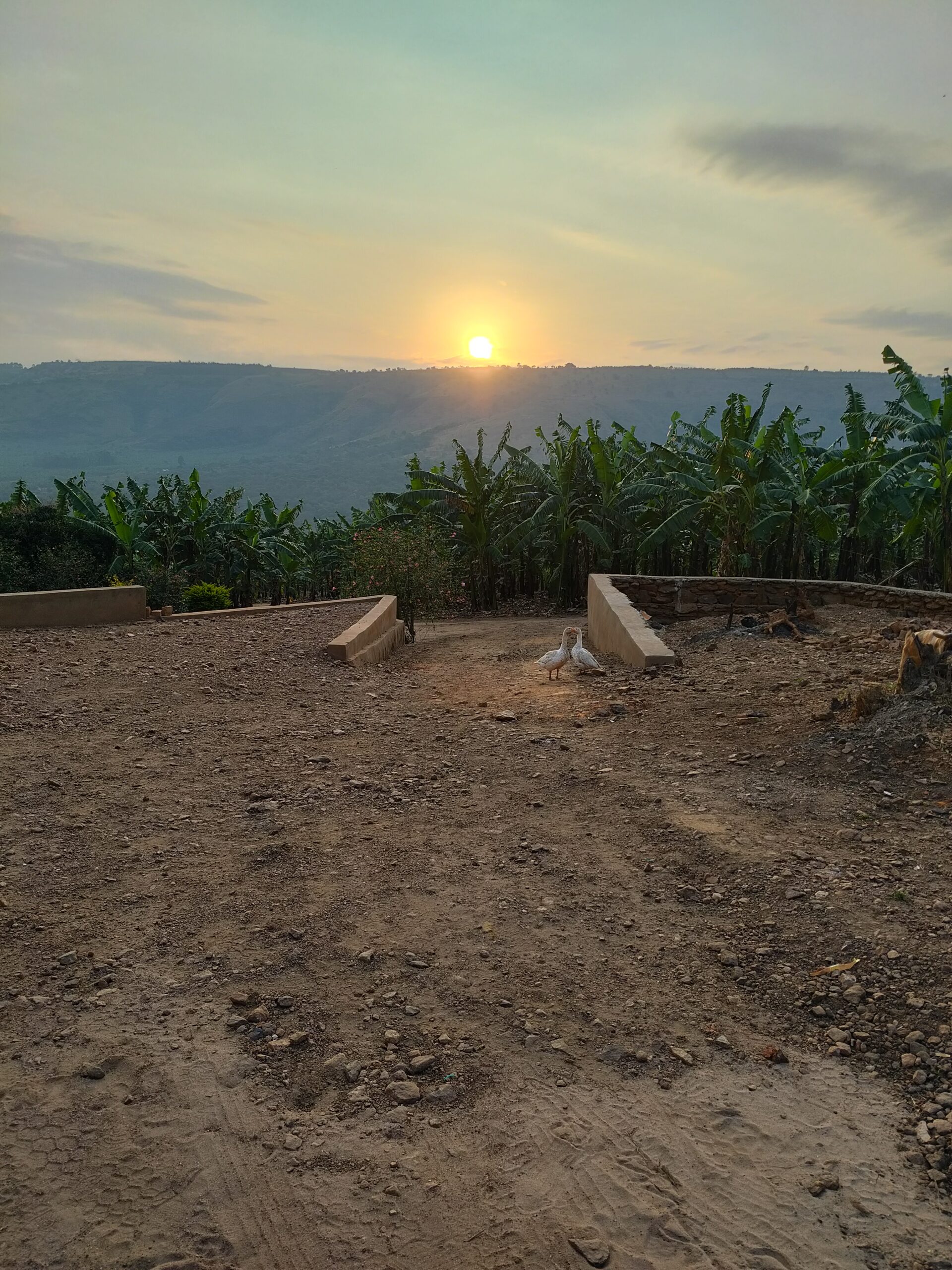 Steget före med små medel