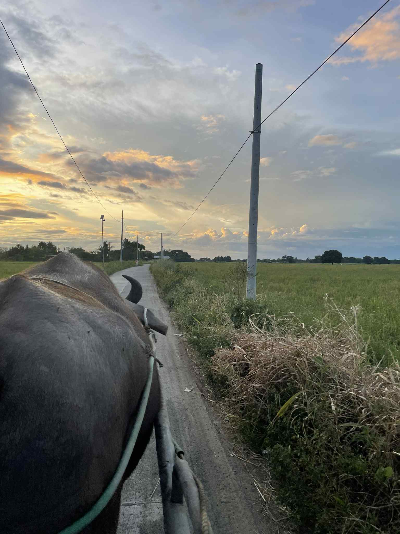 Bland risfält och gravar