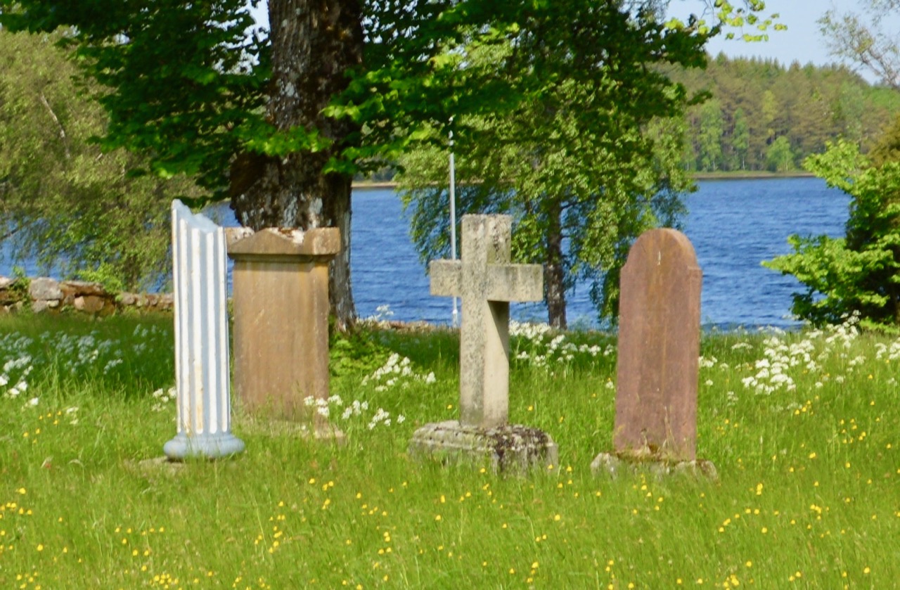 Dunsen av en ros
