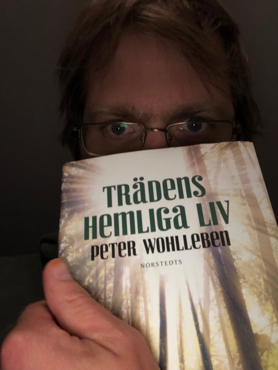 Det bor Enter och Dryader i den svenska skogen