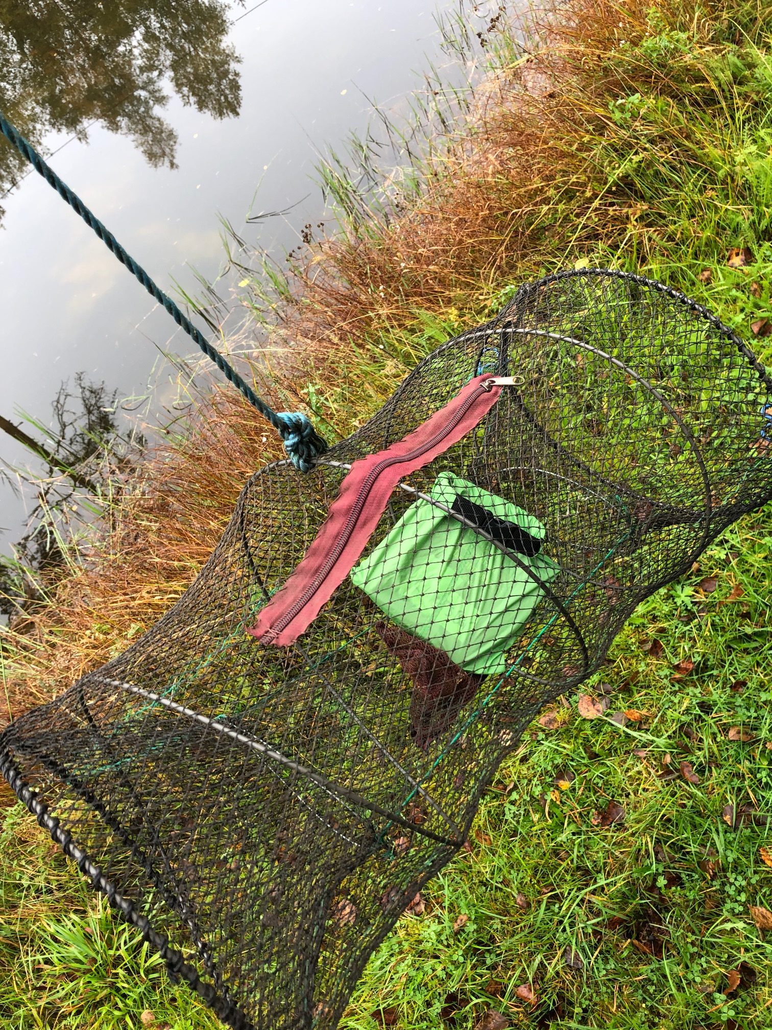 9 blandade tankar på söndagen