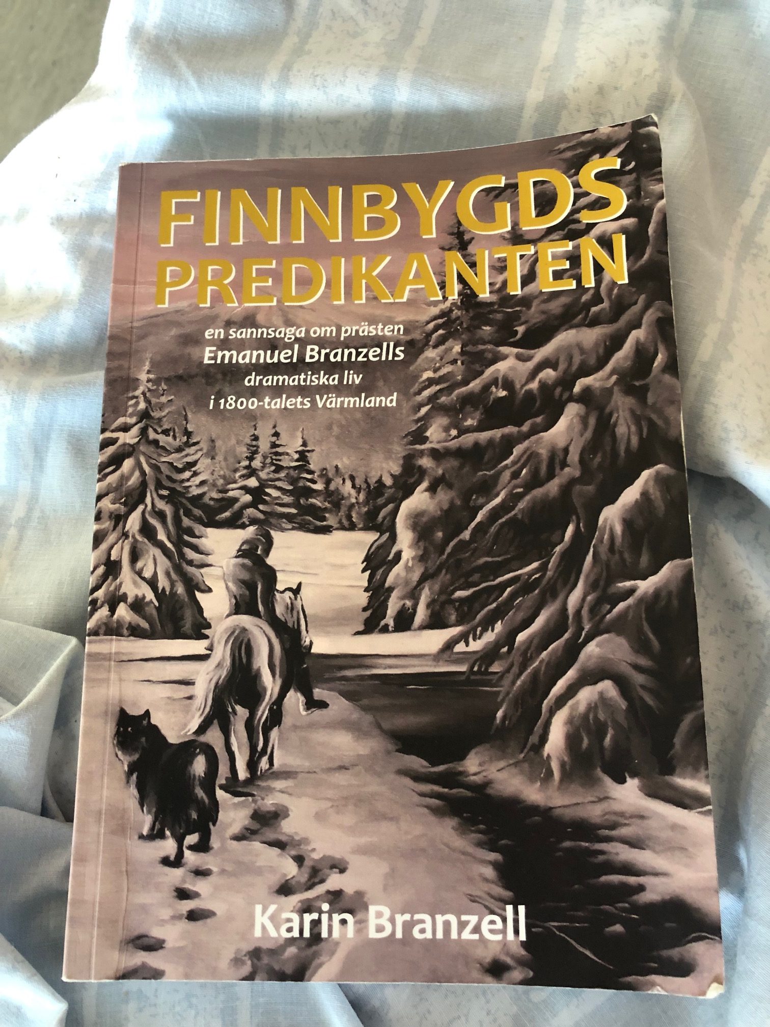 En präst läser ”Finnbygdspredikanten”
