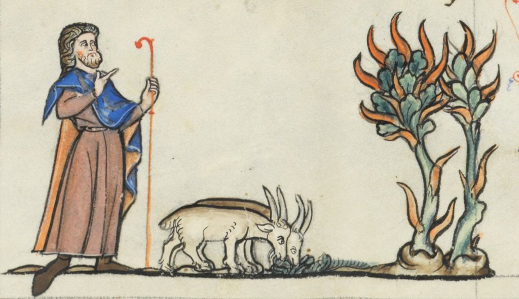 Aldrig så mycket som en präst