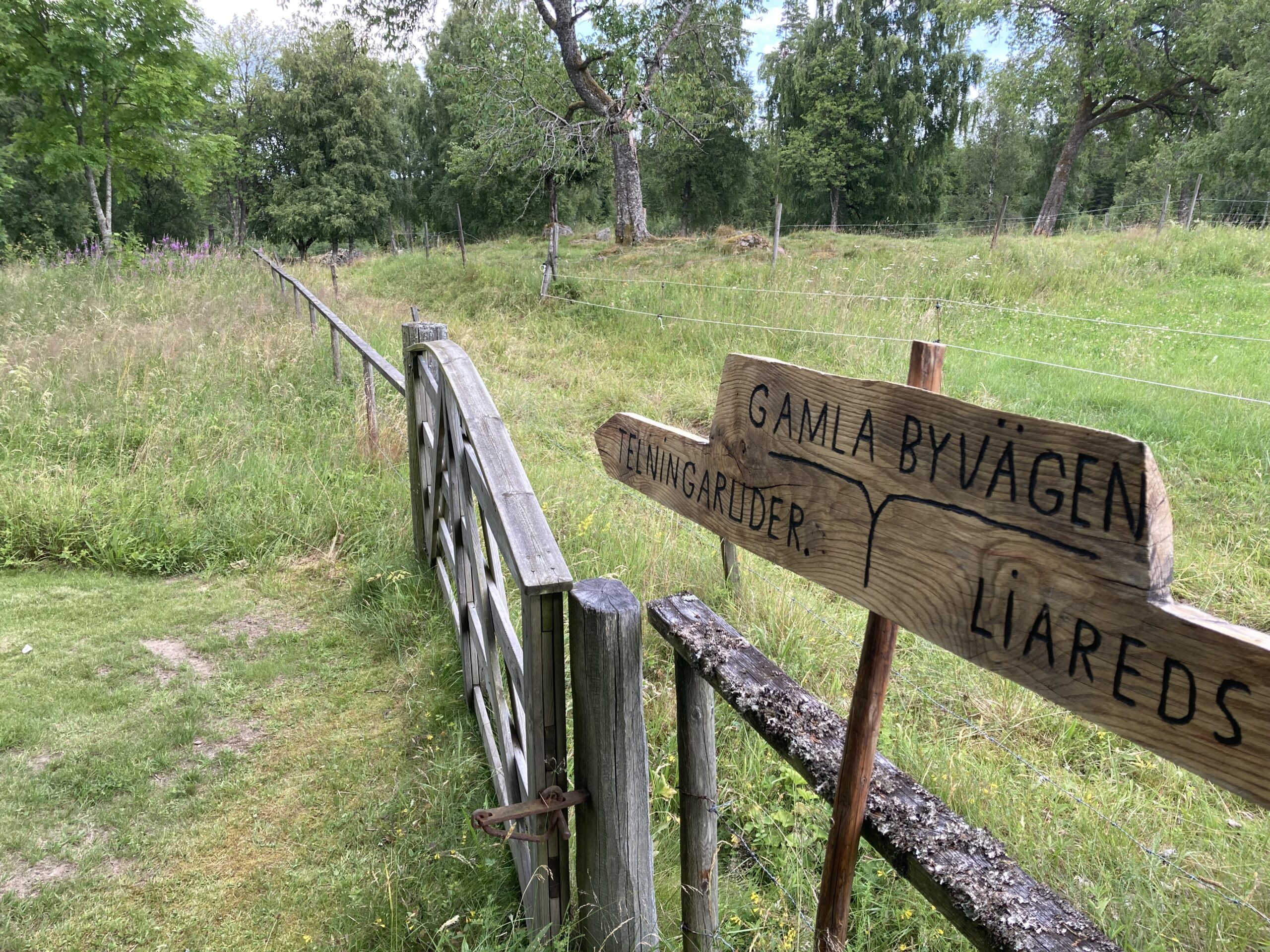 9 blandade tankar på söndagen