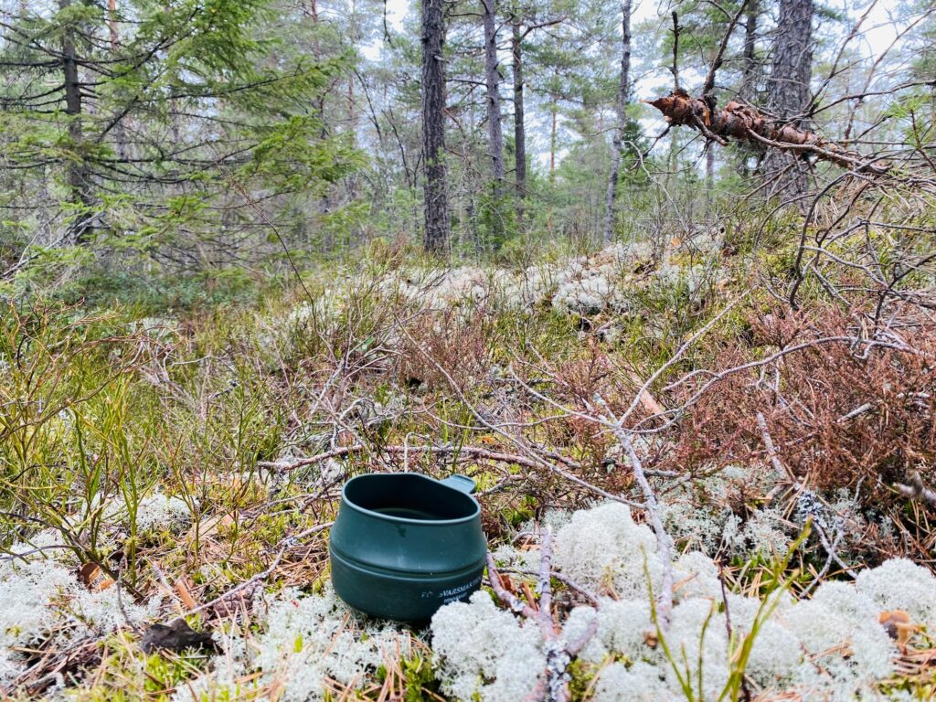 en grön kåsa i mjuk mossa i skogen